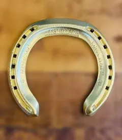 【幸運の金の蹄鉄】