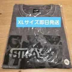 StrayKids スキズ RUN IT フォト Tシャツ グレー XL
