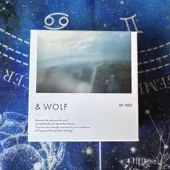 【未使用品】&WOLF UV セラムリキッドファンデーション