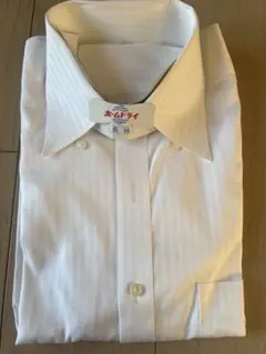 Item thumbnail for item 0d5c55ee-2d33-4845-83ac-18dd96d32c71