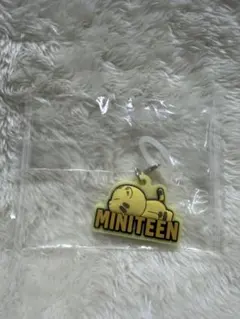SEVENTEEN めじるしアクセサリー ホシ