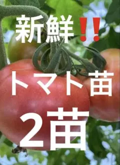 markun様 リクエスト 2点 まとめ商品