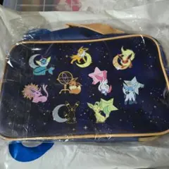 【未開封】ポケットモンスタープラチナムザッカハンドバッグ