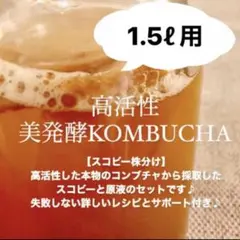 １.5L用　美発酵コンブチャ　スコビー マザー　詳しいレシピ＆サポート付き　腸活のサムネイル