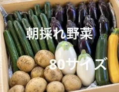 新鮮野菜詰め合わせ 旬の野菜セット　80サイズのサムネイル