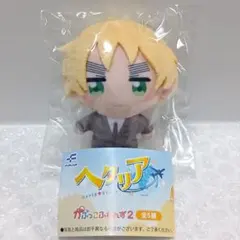 ヘタリアWorld☆Stars イギリス BIGぬいぐるみ 2025年最新】ヘタリア イギリス bigぬいぐるみの人気アイテム - メルカリ