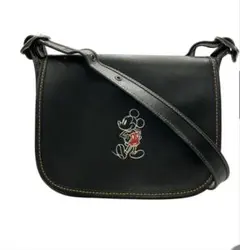 美品⭐︎コーチ COACH ディズニーコラボ ショルダーバッグ レディース