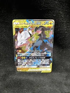 2026年最新】gx レシラム&ゼクロムの人気アイテム - メルカリ