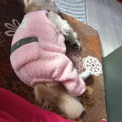 Item thumbnail for item c1829965-9010-443b-aa01-6b52bf7dca5f