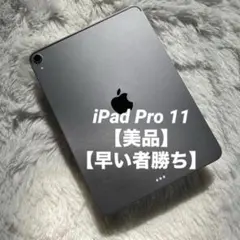 【1台限定価格】iPad Pro 11インチ 256GB 【すぐ発送】