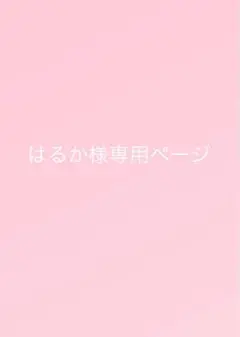 はるか様専用ページ
