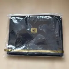 Item thumbnail for item 8763e292-56cc-43db-8a20-069830dd429c