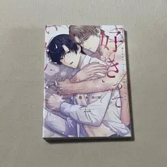 美品 Bivy コミックス BL 「好き」っていいたい。 水都あさひ