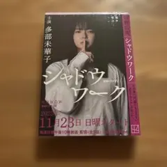 シャドウワーク 佐野広実