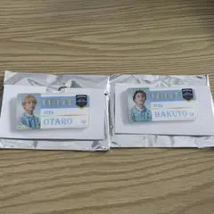 EBiDAN THE LIVE 2025 ネームバッチ ICEx まとめ売り