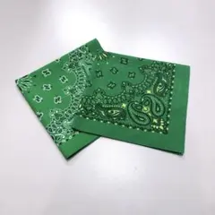 80s90s USA製 グリーン ペイズリー バンダナ　バイカラー　2枚セット