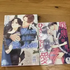 溺れるままに愛し尽くせ　腹黒御曹司にひきこもりな妻を昼も夜も愛したい　佐木ささめ