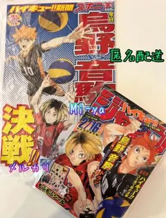 匿名配送【『ハイキュー!!』ジャンプ ゴミ捨て場の決戦& ハイキュー!!新聞】