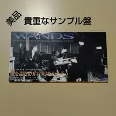 ようすけ様 リクエスト 2点 まとめ商品