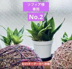 yotakochan様専用 No.19 ▪️制作用パネル100枚セットpickup - メルカリ