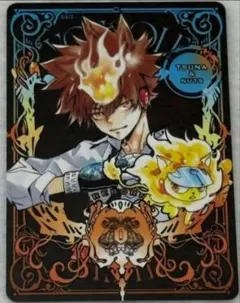 沢田綱吉　ジャンフェス　特典 沢田綱吉 リボーン ジャンプフェスタ 特典 ジャンフェス 限定 3枚
