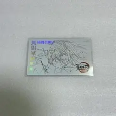 劇場版 鬼滅の刃 ムビチケ風カード 胡蝶しのぶ 胡蝶カナエ