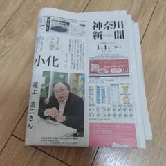 Item thumbnail for item 49eccd20-741f-4f26-81a8-5ef9387cd6a8