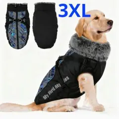 Item thumbnail for item 3c2cbe2f-2803-41f2-983d-6fd2cc1809cd