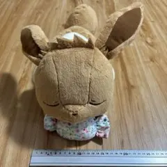 イーブイ ぬいぐるみ 一番くじ A賞