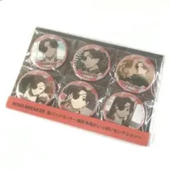 WIND BREAKER ～蘇枋 隼飛がいっぱいセレクション～ 缶バッジセット