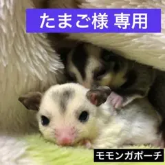 たまご様 リクエスト 2点 まとめ商品