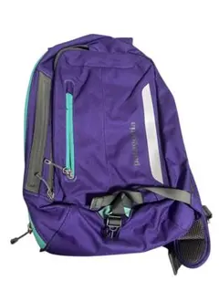 極美品 レアカラー patagonia マススリング 9L ネイビー 2015年 極美品 レアカラー patagonia マススリング 9L ネイビー 2015年