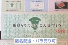 【バラ売り可】箱根ガラスの森美術館招待券5枚のサムネイル