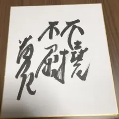 2026年最新】貴乃花 サイン色紙の人気アイテム - メルカリ