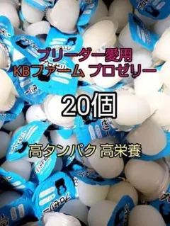 Item thumbnail for item 92240b38-b652-4078-b517-6877f082dc0d