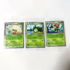 エルフーン&チュリネ&ドレディア ポケモンキッズスペシャル ポケモンカード エルフーン&チュリネ&ドレディア ポケモンキッズスペシャル ポケモン
