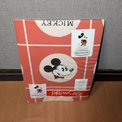 Item thumbnail for item fca010a8-db64-4446-8e99-d6321c906d79