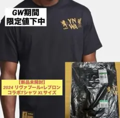 レブロン x リバプール FC ナイキ ロングスリーブ Max90 TシャツXL