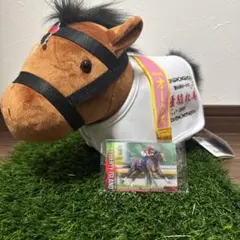 リバティアイランド　馬服コスチューム　サラブレッドコレクション　カード付き