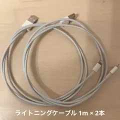 USB-A to Lightningケーブル 1m ホワイト 2本セット