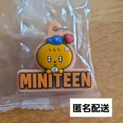 MINITEEN ぷっくりめじるしアクセサリー スングァン
