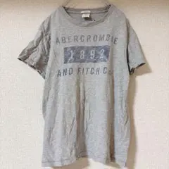 アバクロンビーアンドフィッチ クルーネック 半袖 プリント 1892 S 灰 綿
