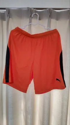 Item thumbnail for item 1de49a36-1538-48b5-a31c-d629b9f4c4f4