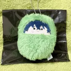 カリスマ くるみたぴぬい 本橋依央利のサムネイル