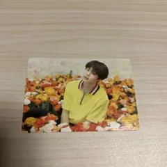 専用です BTS LOVEYOURSELF ミニフォト ジミン