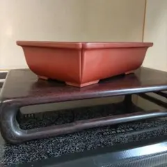 2026年最新】盆栽 鉢 落款の人気アイテム - メルカリ