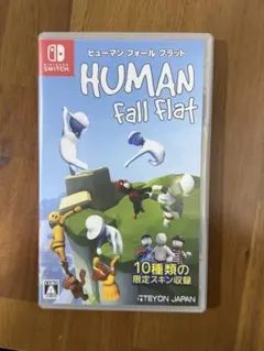 ヒューマンホールフラット　パッケージ版　Switch