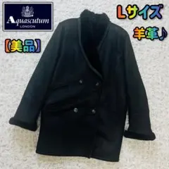 Item thumbnail for item 6e3a1d11-239f-4694-a009-55f93934bba3