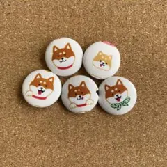 Item thumbnail for item 679252f2-333e-4470-bc1f-39b57f5b3b3d