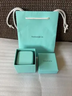 2025年最新】ティファニーリングケースの人気アイテム - メルカリ